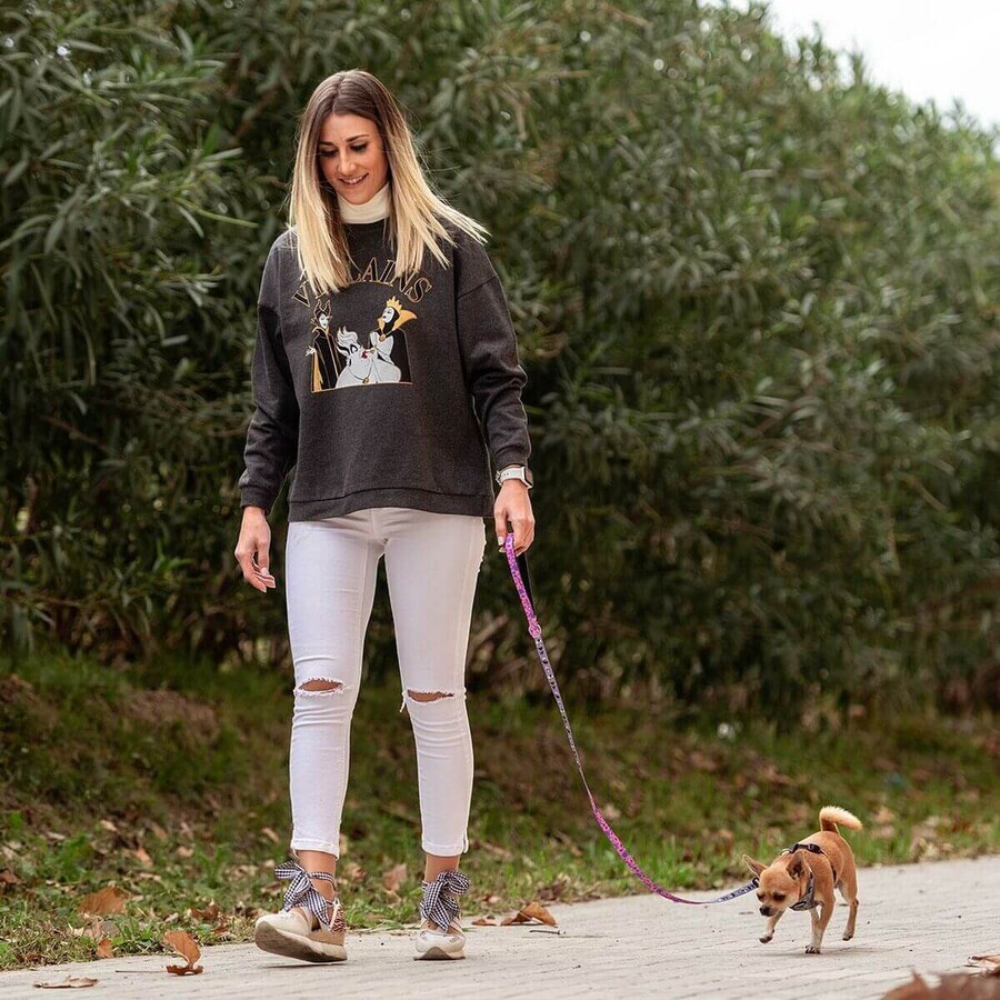Dog Lead Disney