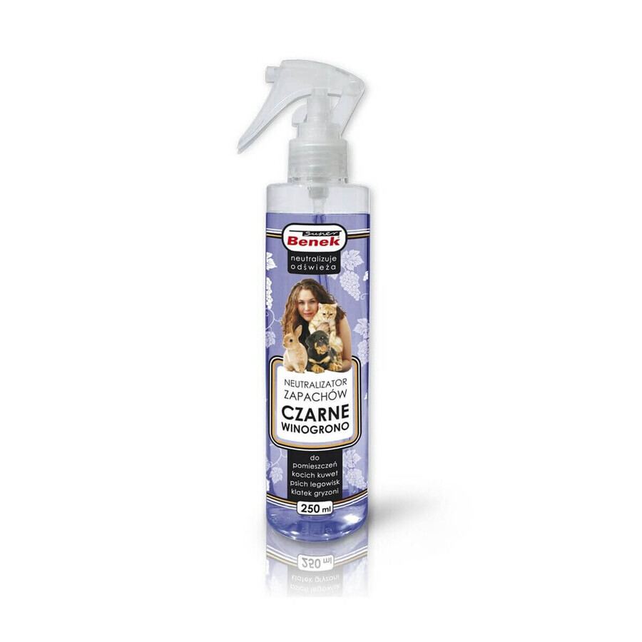 Acquista Eliminatore di odori Certech 16687 Antimacchia 250 ml Eliminatore di odori Certech 16687 Antimacchia 250 ml