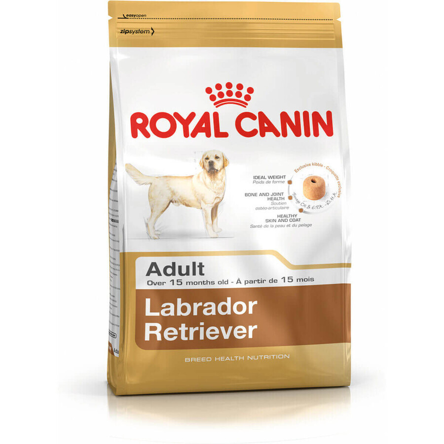 Voer Royal Canin Labrador Retriever Adult Volwassen Kip Rijst Vogels 12 kg