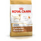 Fodder Royal Canin Labrador Retriever Adult Adult Chicken Rice Birds 12 kg