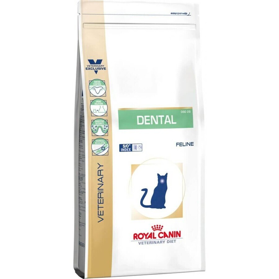 Kattenvoer Royal Canin Dental Volwassen Maïs Vogels 1,5 Kg