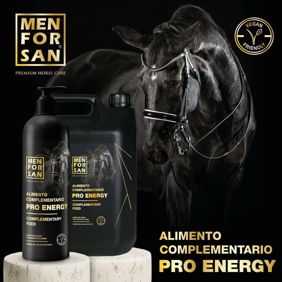Supliment Alimentar Menforsan