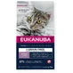 Eukanuba Grain Free Kitten Salmón Pescado 2 Kg