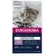 Cat food Eukanuba Grain Free Kitten Salmon Fish 2 Kg