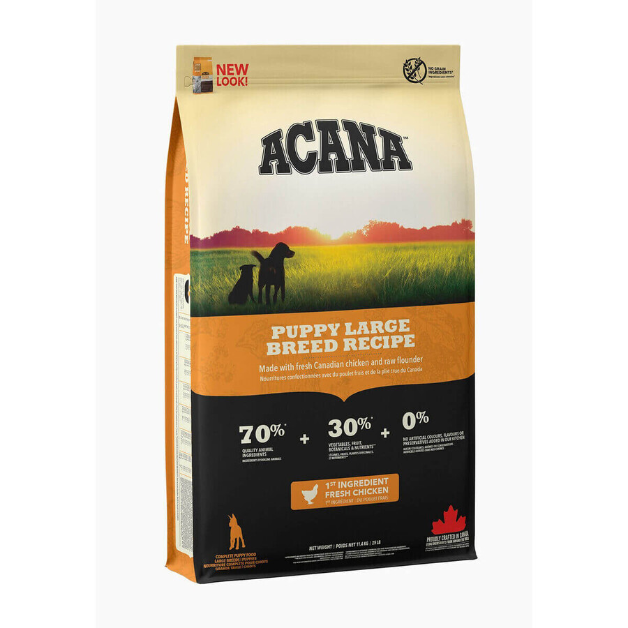 Buy Fodder Acana Puppy Large Breed Recipe Kid/Junior Chicken 17 kg Fodder Acana Puppy Large Breed Recipe Kid/Junior Chicken 17 kg