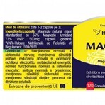 Magneziu Forte, 120 cápsulas, Herbagetica Magneziu Forte, 120 cápsulas, Herbagetica