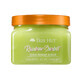 Body Scrub, Rainbow Sherbet, 510 g, Tree Hut