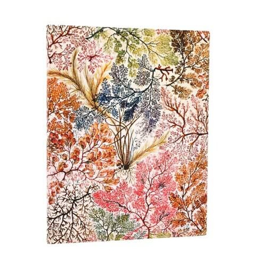 Paperblanks William Kilburn bloc-notes en ligne, Anémone Ultra
