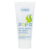Ziajka gel dentale senza fluoro per bambini e neonati 50ml