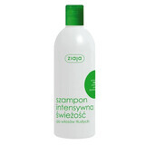 Ziaja, Shampoo intensivo freschezza, menta, 400 ml