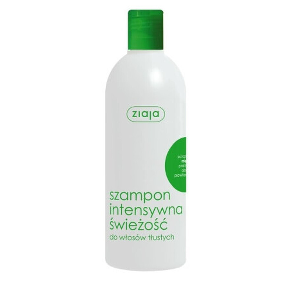 Winkel op Ziaja, Intensieve frisheidsshampoo, munt, 400 ml Ziaja, Intensieve frisheidsshampoo, munt, 400 ml