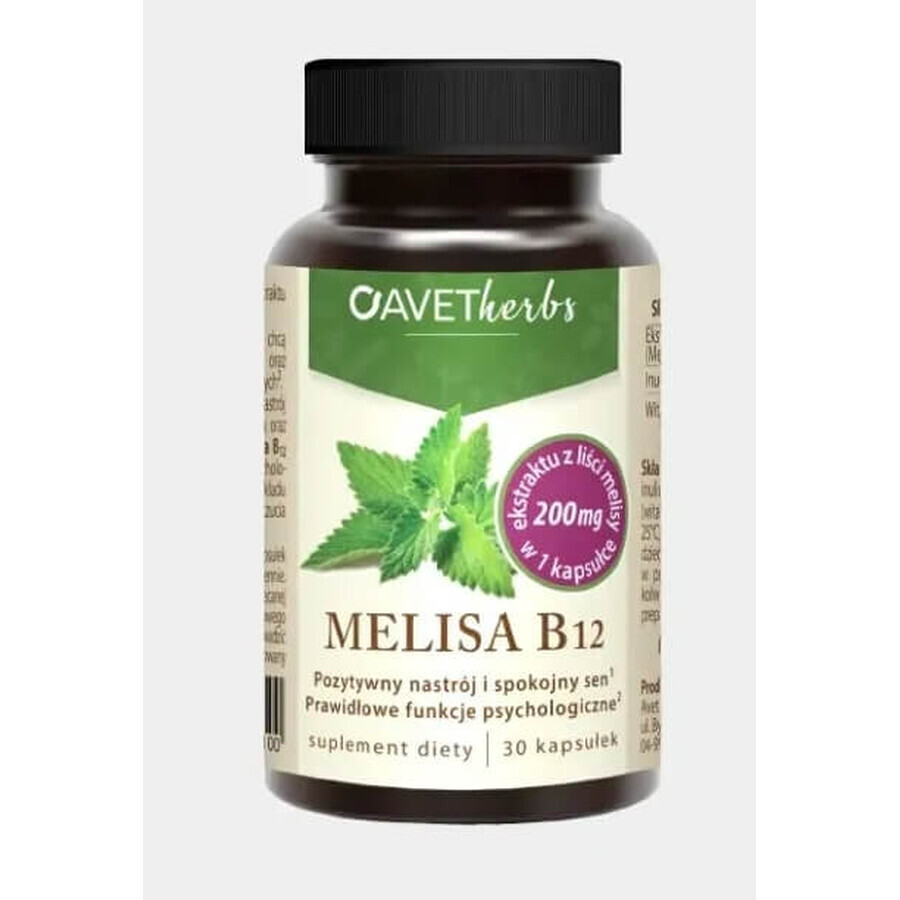 Avet Herbs, Melissa B12, 30 capsules