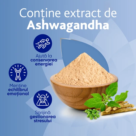 MagneVie Stress Resist mit Ashwaghanda 80mg + 60mg Magnesium + 1,4mg Vitamin B6, Nervensystem und Stressresistenz, 4x30 Tabletten 