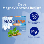 MagneVie Stress Resist with Ashwaghanda 80mg + 60 mg magnesium + 1.4mg vitamin B6, nervous system and stress resistance, 4x30 tablets MagneVie Stress Resist with Ashwaghanda 80mg + 60 mg magnesium + 1.4mg vitamin B6, nervous system and stress resistance, 4x30 tablets