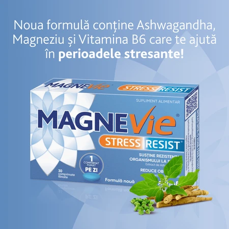MagneVie Stress Resist mit Ashwaghanda 80mg + 60mg Magnesium + 1,4mg Vitamin B6, Nervensystem und Stressresistenz, 4x30 Tabletten 