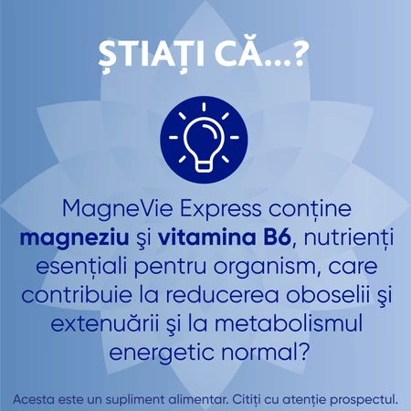 MagneVie Express, 150 mg Magnesium + 0,7 mg Vitamin B6, zusätzliche Energie, wasserlose Verabreichung, 2x20 Beutel