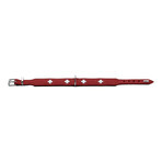 Collare per Cani Hunter Swiss Rosso/Nero (24-28.5 cm) Collare per Cani Hunter Swiss Rosso/Nero (24-28.5 cm)