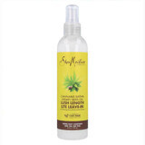 Nährende Balsamspülung Shea Moisture Moisture Cannabis 237 ml 