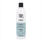 Anti-dandruff Shampoo ProYou the Balancer Revlon (350 ml)