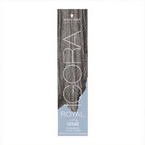 Dauerfärbung Schwarzkopf Igora Royal Nº 5-21 60 ml