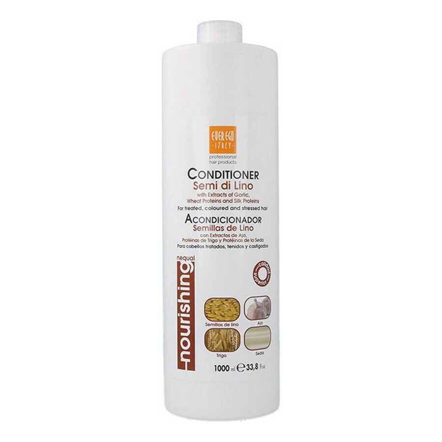 Cumpără Balsam Everego semințe hrănitoare (1000 ml) Balsam Everego semințe hrănitoare (1000 ml)