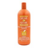 Shampooing et après-shampooing Creme Of Nature Sunflower 946 ml