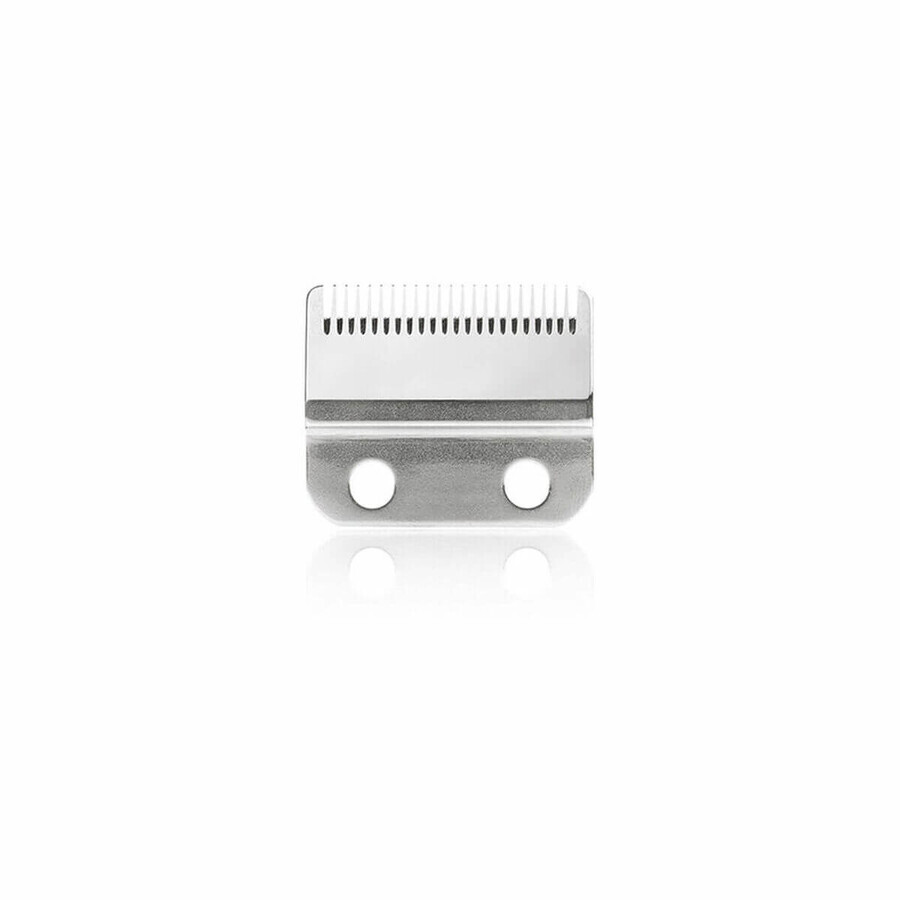 Buy Replacement Head Sthauer Xanitalia 50 Steel (50 uds) Replacement Head Sthauer Xanitalia 50 Steel (50 uds)