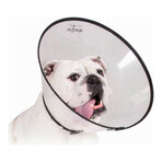 Hunde-Halskrause KVP Saf-T-Clear Durchsichtig (30-76 cm) Hunde-Halskrause KVP Saf-T-Clear Durchsichtig (30-76 cm)
