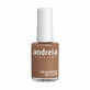 Vernis &#224; ongles Andreia Professional Hypoallergenic N&#186; 79 (14 ml)