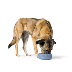Dispozitiv de hrănire pentru câini Hunter OSBY GLAZED Albastru Ceramică 1,9 L Dispozitiv de hrănire pentru câini Hunter OSBY GLAZED Albastru Ceramică 1,9 L