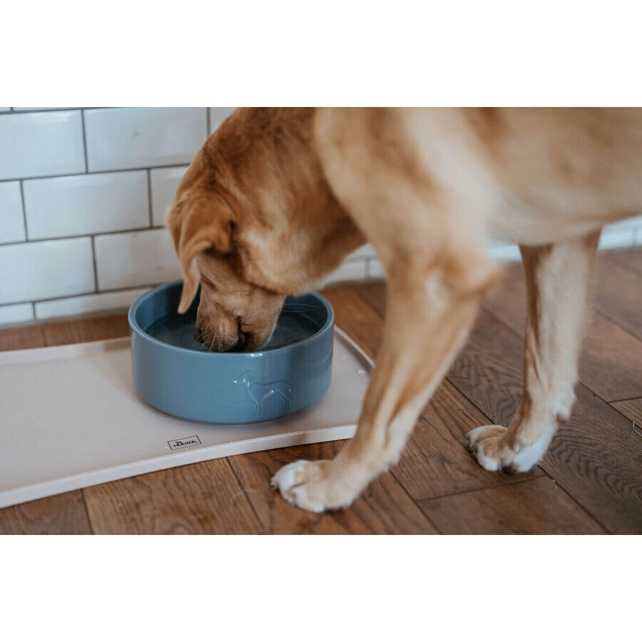 Dispozitiv de hrănire pentru câini Hunter OSBY GLAZED Albastru Ceramică 1,9 L