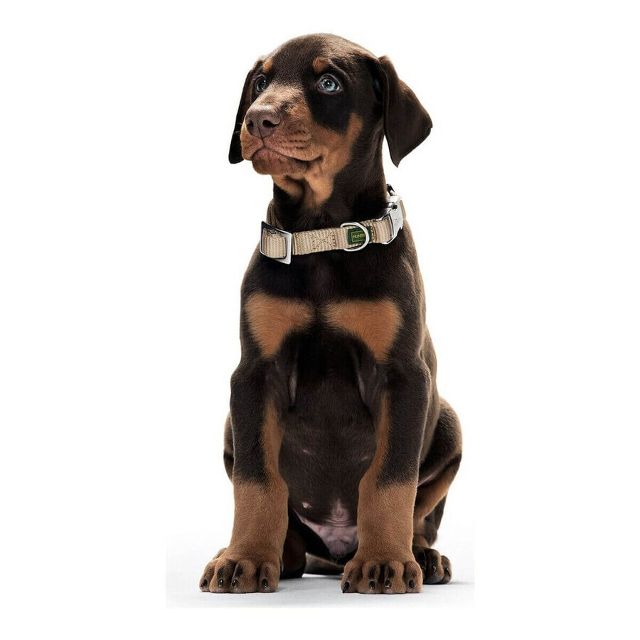 Collare per Cani Hunter Alu-Strong Turchese Taglia L (45-65 cm) Collare per Cani Hunter Alu-Strong Turchese Taglia L (45-65 cm)