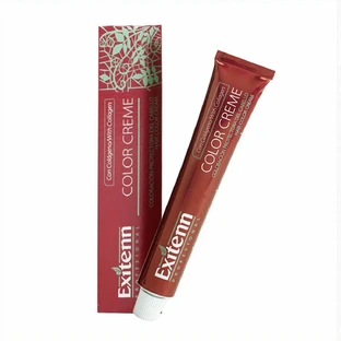 Pintura permanente en crema Exitenn (60 ml)