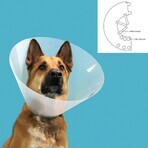 Collare elisabettiano per cani KVP Quick Fit Trasparente (39-48 cm) Collare elisabettiano per cani KVP Quick Fit Trasparente (39-48 cm)