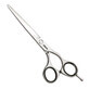 Forbicine Fama Fabr&#233; Jaguar SILVER CJ3 6