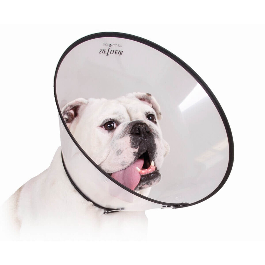 Shop Hunde-Halskrause KVP Saf-T-Clear (38-63 cm) Hunde-Halskrause KVP Saf-T-Clear (38-63 cm)