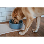 Mangeoire pour chiens Hunter OSBY Bleu Céramique 1,1 L Mangeoire pour chiens Hunter OSBY Bleu Céramique 1,1 L