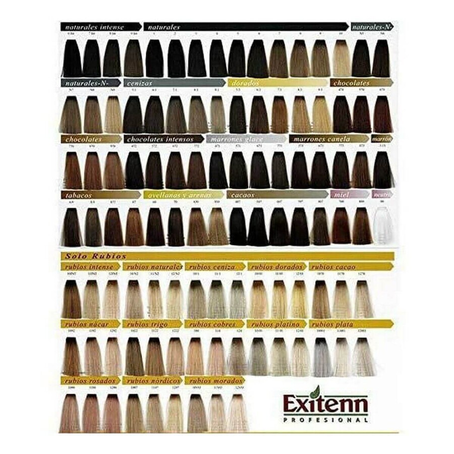 Permanente Kleur Color Creme Exitenn Color Creme (60 ml)
