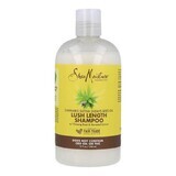 Șampon Shea Moisture Cannabis Sativa Seed Unt de Karité 384 ml