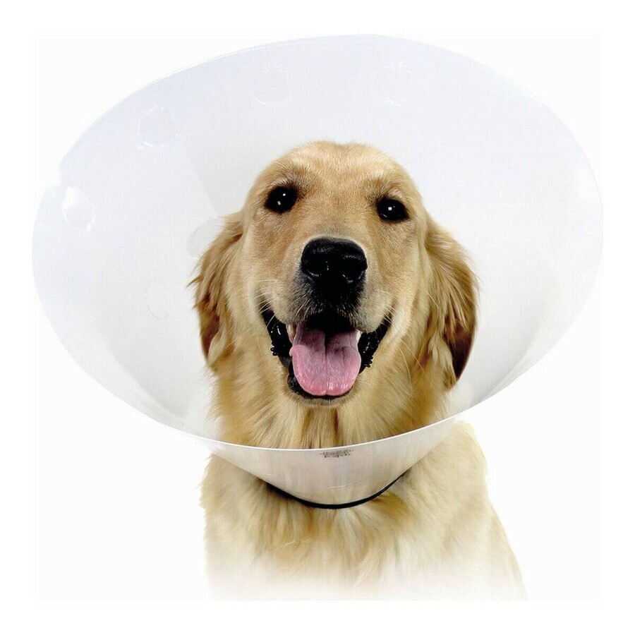 Shop Hunde-Halskrause KVP Check Durchsichtig (34-43 cm) Hunde-Halskrause KVP Check Durchsichtig (34-43 cm)
