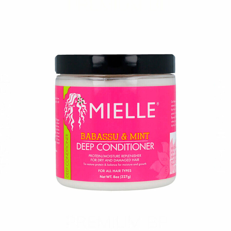 Buy Conditioner Mielle Babassu & Mint Deep (227 g) Conditioner Mielle Babassu & Mint Deep (227 g)