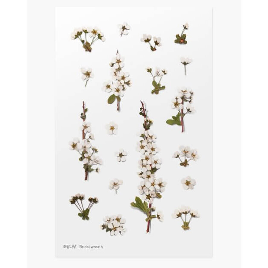 Decorative stickers flowers Tavula