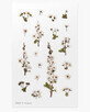 Decorative stickers flowers Tavula