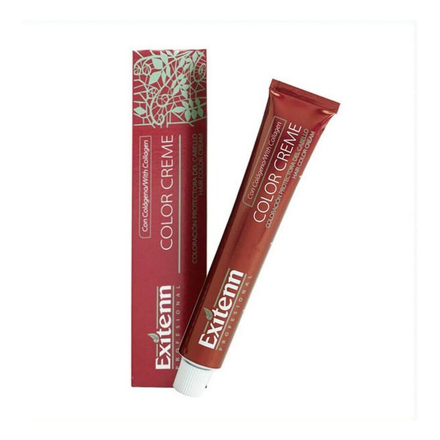 Permanent Dye Color Creme Exitenn Color Creme Nº 8,1 Light Ash Blonde (60 ml) Permanent Dye Color Creme Exitenn Color Creme Nº 8,1 Light Ash Blonde (60 ml)