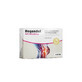 Regendol, 30 tablets, Holistic One
