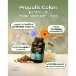 Propolis Doppelpunkt, 60 Kapseln, Apicolscience