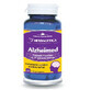 Alzheimed, 60 capsules, Herbagetica