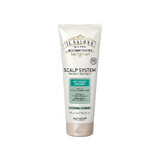 Sampon Anti-Sebum Scalp System Il Salone, 250 ml, Alfaparf