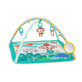 Spielwippe mit Spielzeugstange, 0 Monate+, Palm Party, Bright Starts