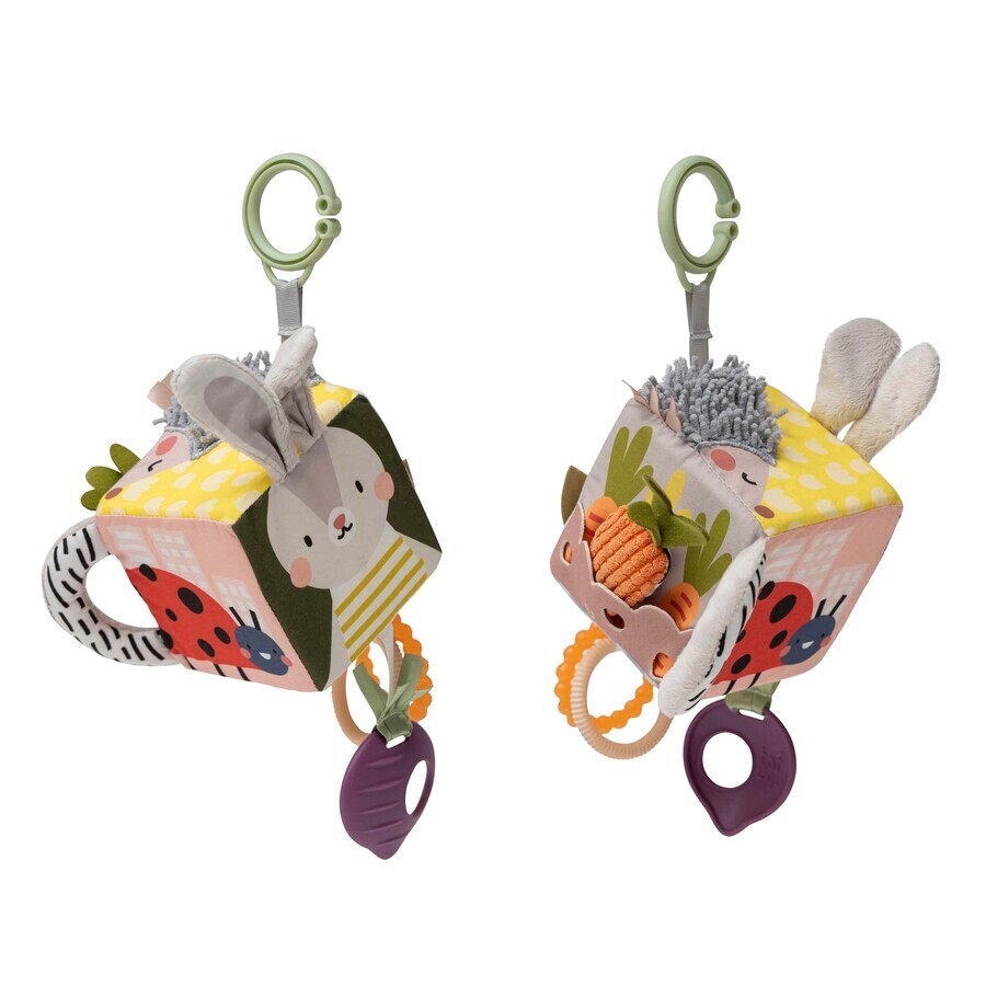Cubo giocattolo Urban Garden, + 0 mesi, Taf Toys